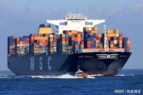 塑膠粒出口流程與貨運(yùn)指南