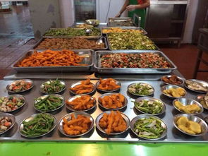 餐桌上的健康美學 我的健身與餐飲管理日常